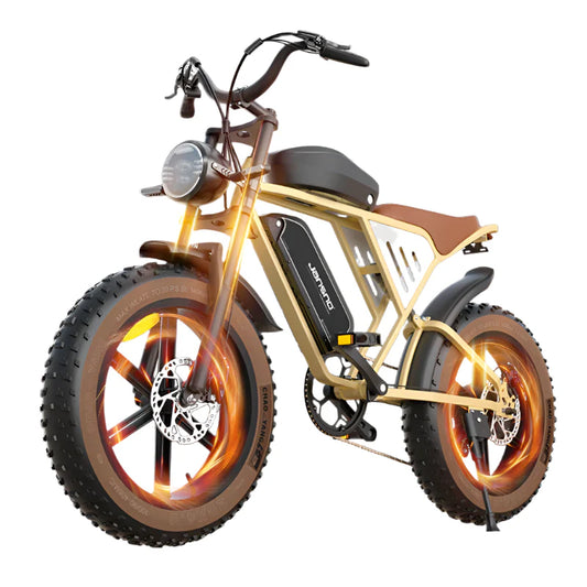 Dual Battery 5-Speed Adjustable Electric Bike: Endurance Meets Versatility