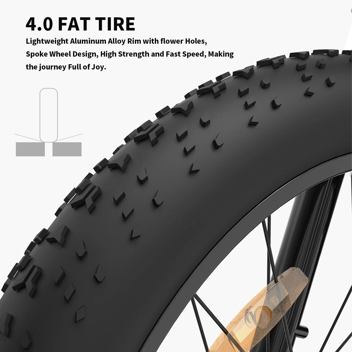 48V 13Ah Electric Mountain Bike