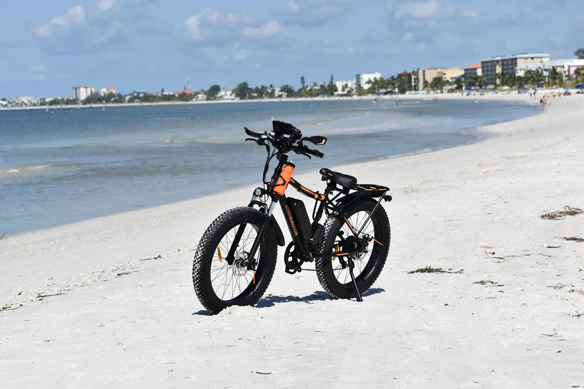 48V 13Ah Electric Mountain Bike