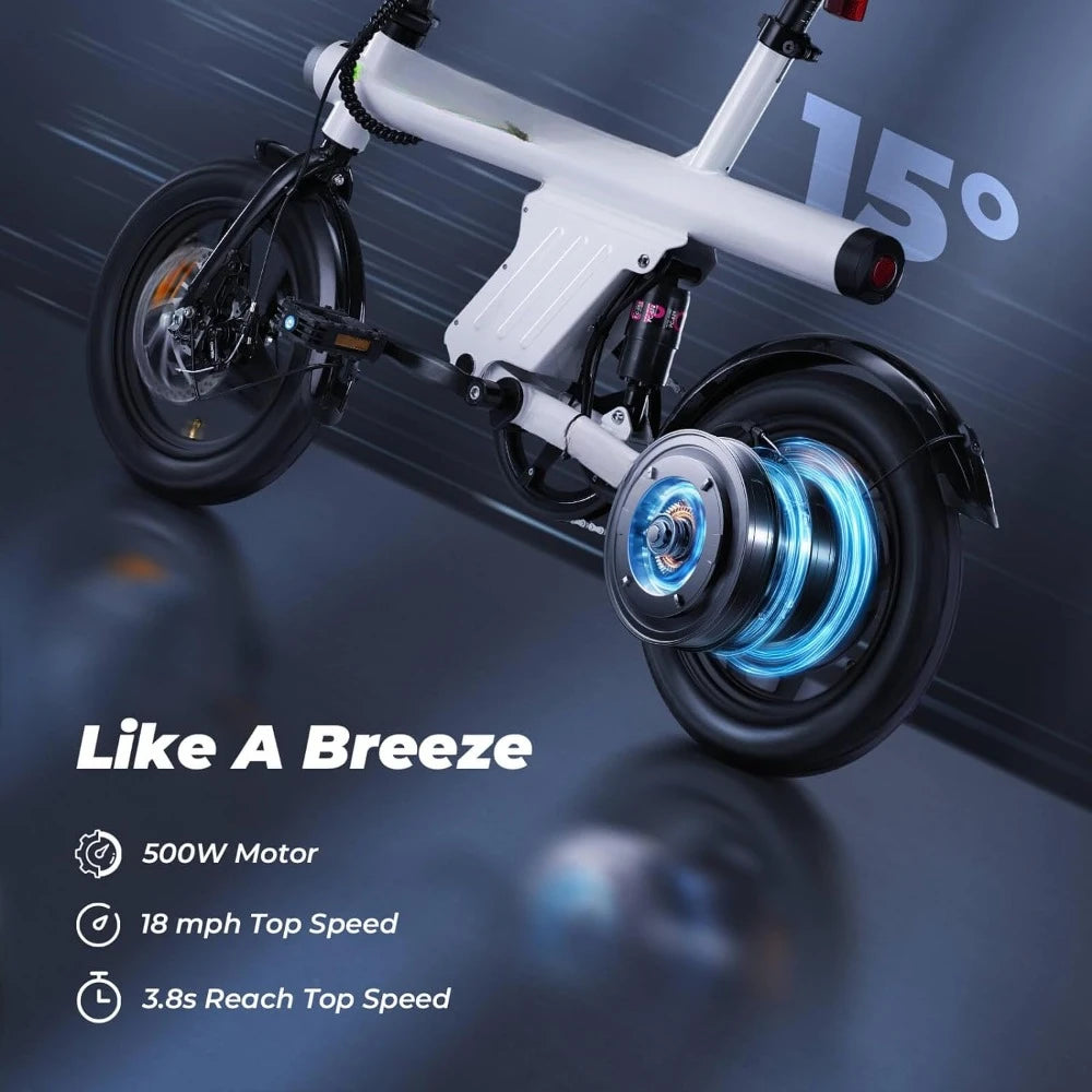 750W Peak Motor Electric Bike