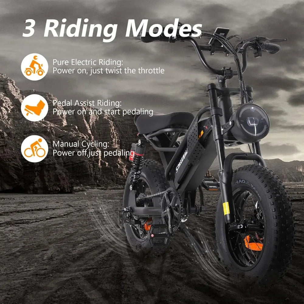 16"/20" Fat Tire Ebike