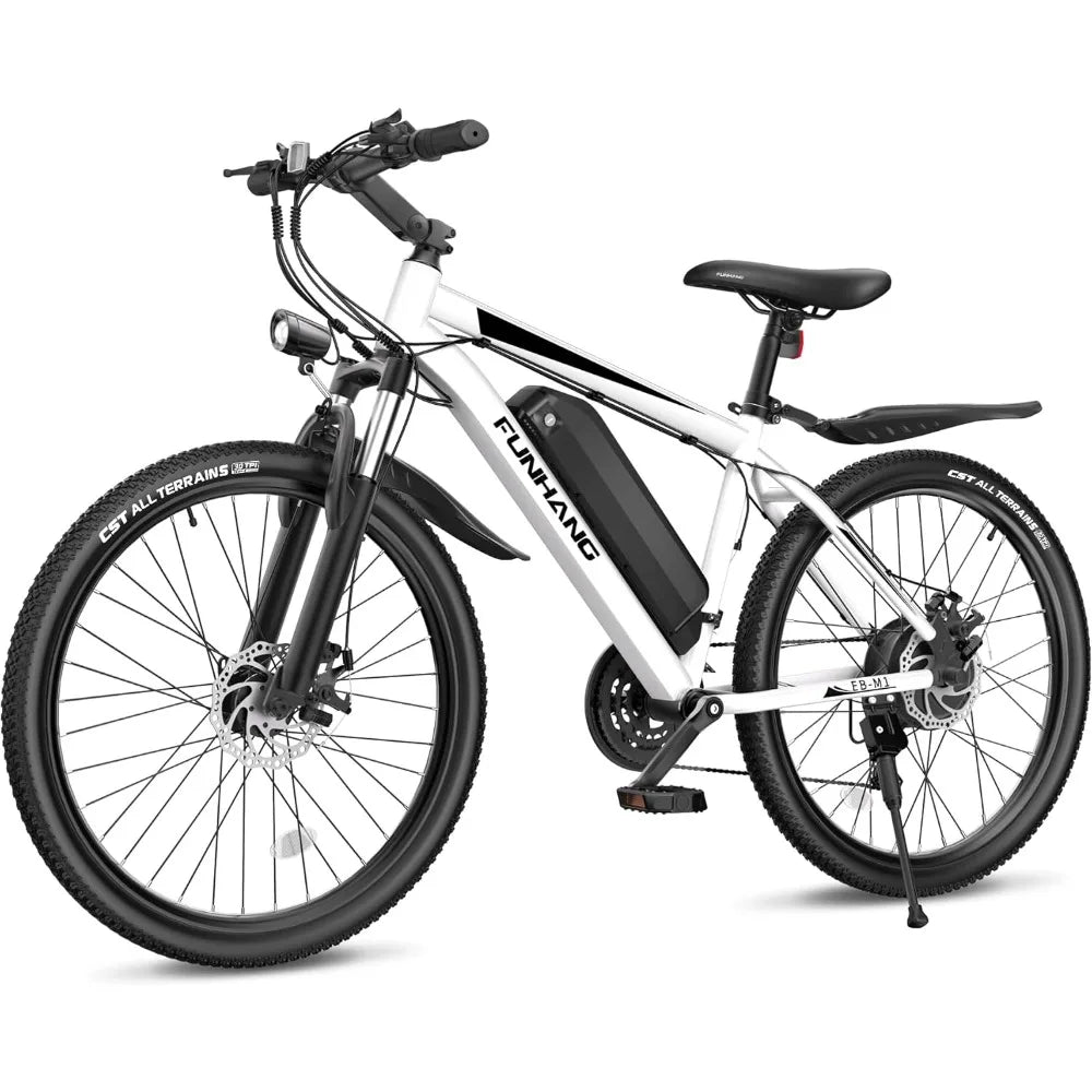 26" 48V 374.4Wh Battery