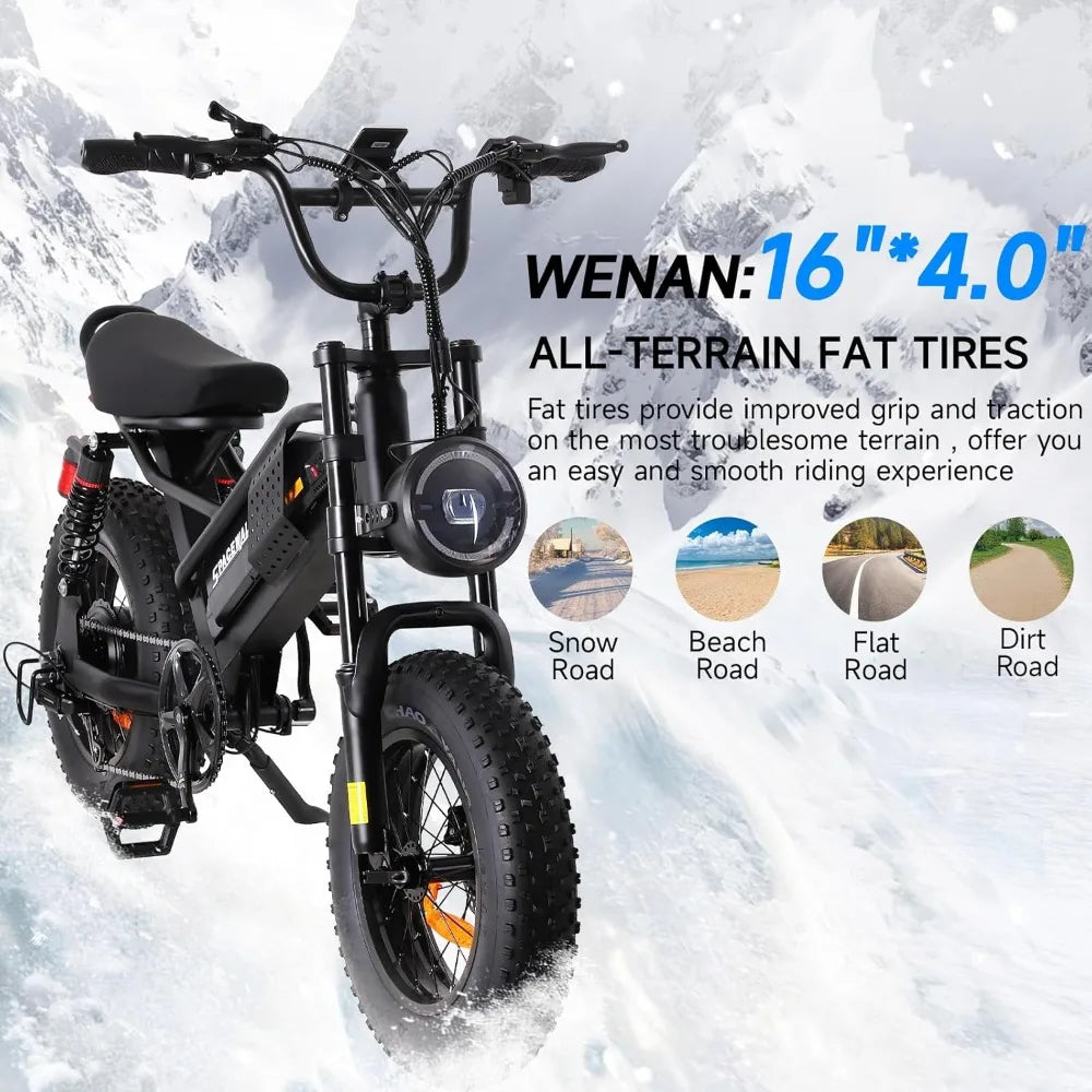 16"/20" Fat Tire Ebike