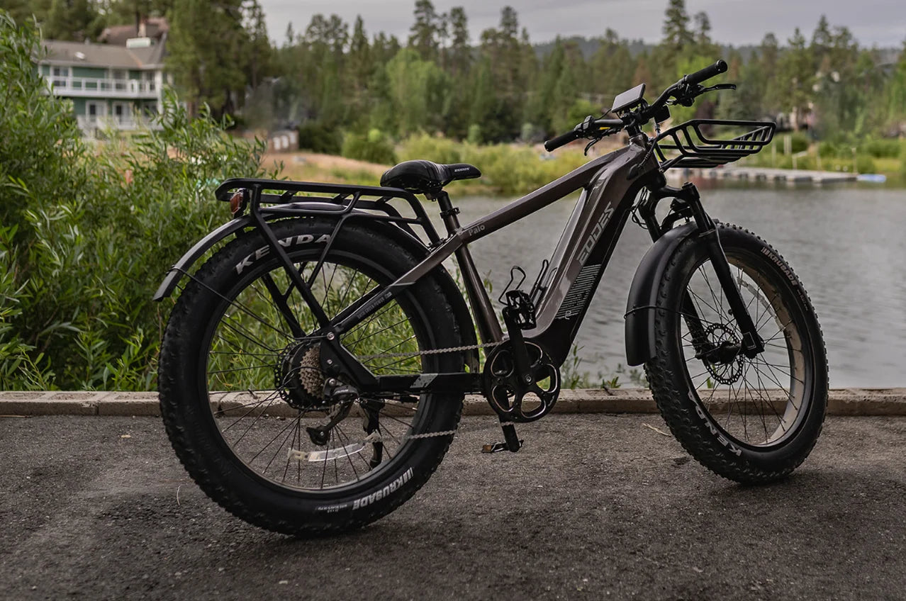 52V750W Motor 17AH High Quality Electric Bike