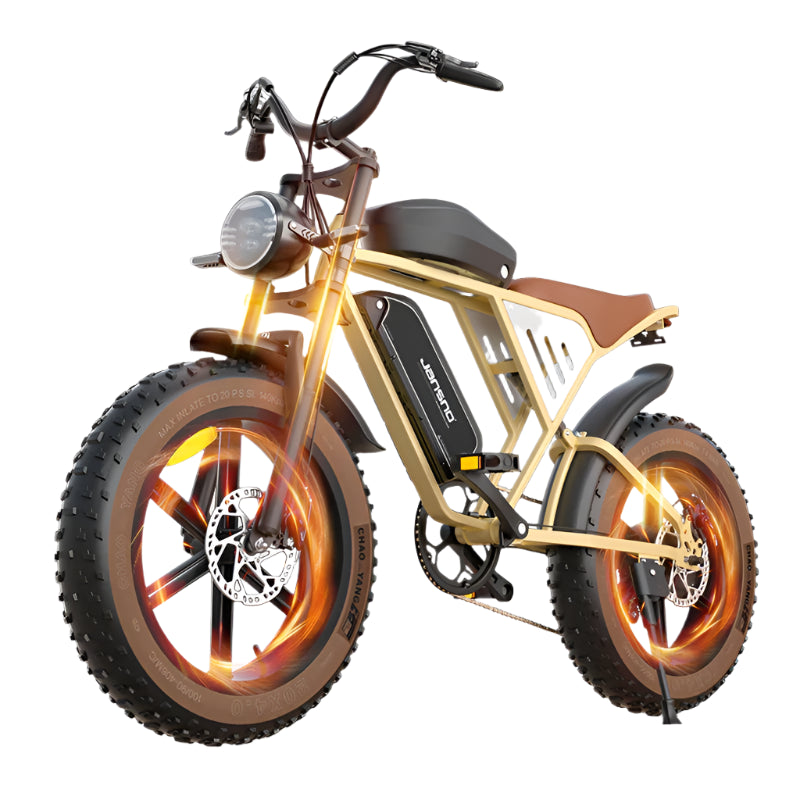 Dual Battery 5 Speed Adjustable Electric Bike