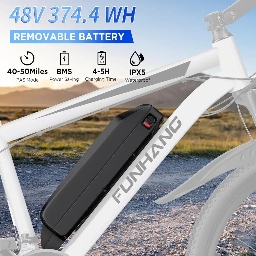 26" 48V 374.4Wh Battery