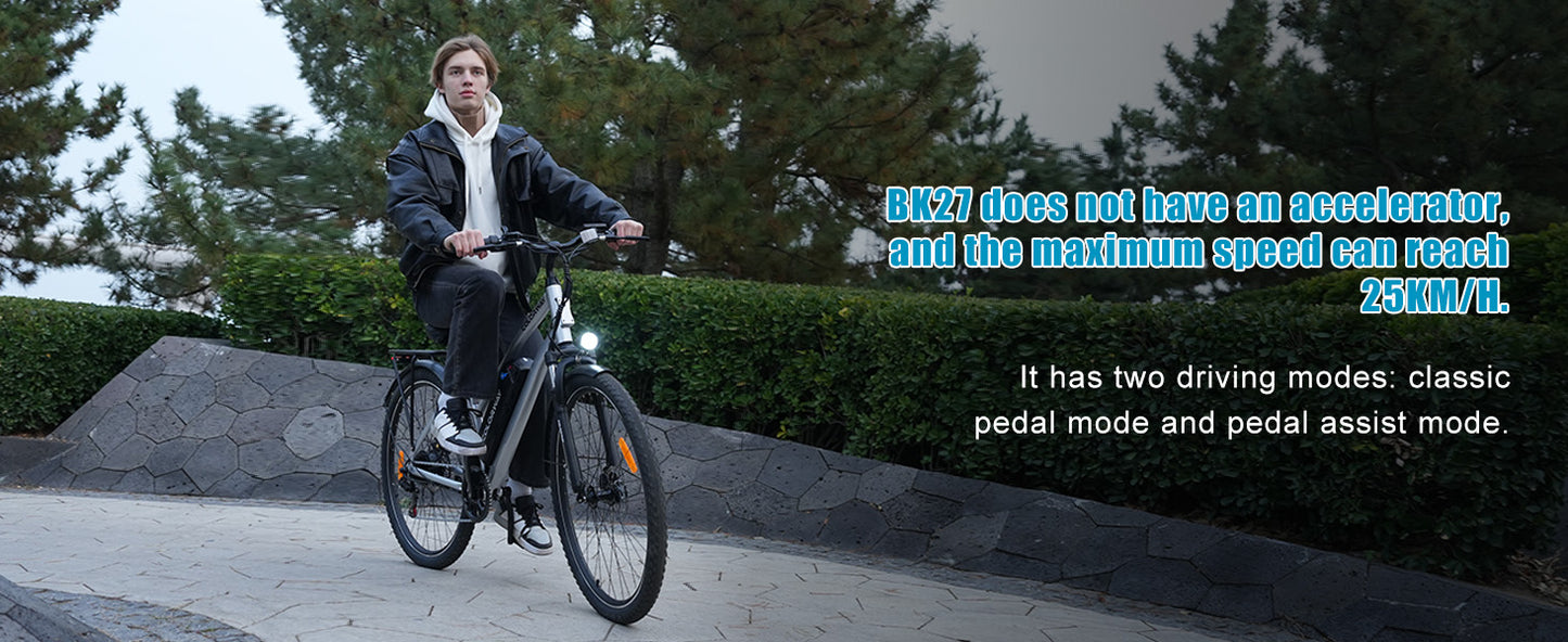 Coriway 28" Electric Bike