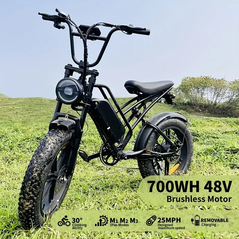 48V/18AH Battery 700W Electric Bike