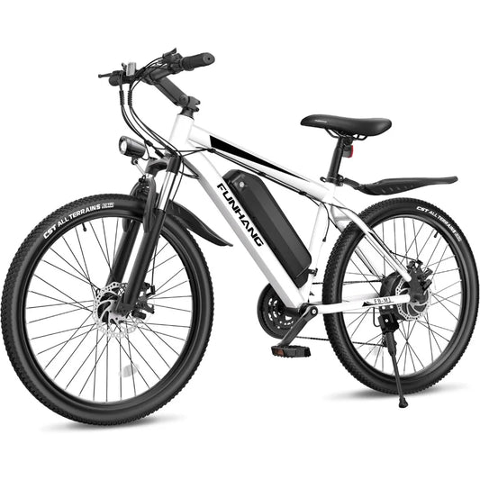 26" 48V 374.4Wh Battery