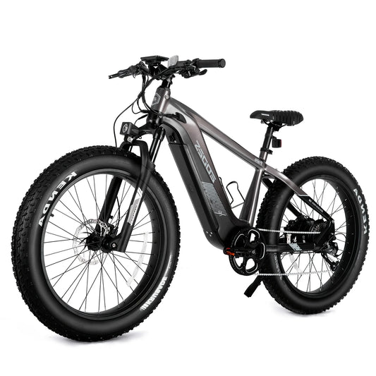 52V750W Motor 17AH High Quality Electric Bike