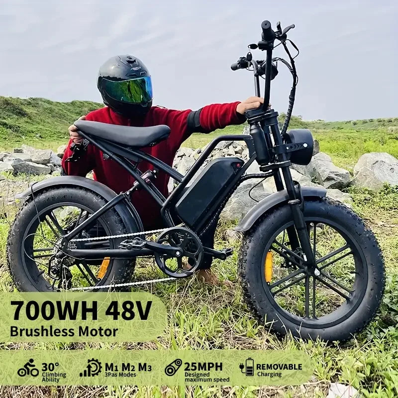 48V/18AH Battery 700W Electric Bike