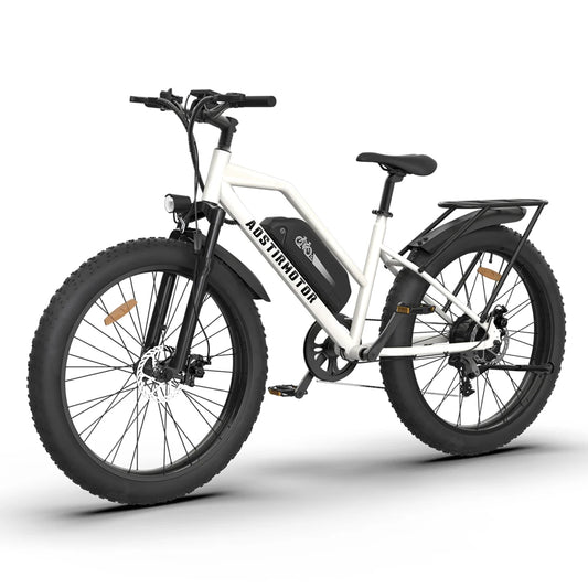 48V 13Ah Electric Mountain Bike