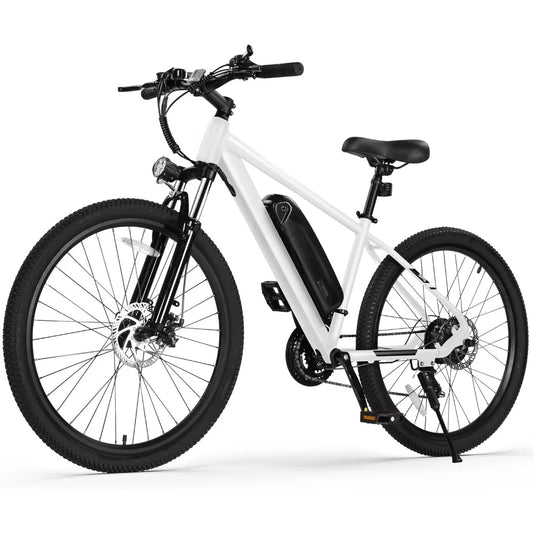 21-Speed Lightweight Mountain Ebike
