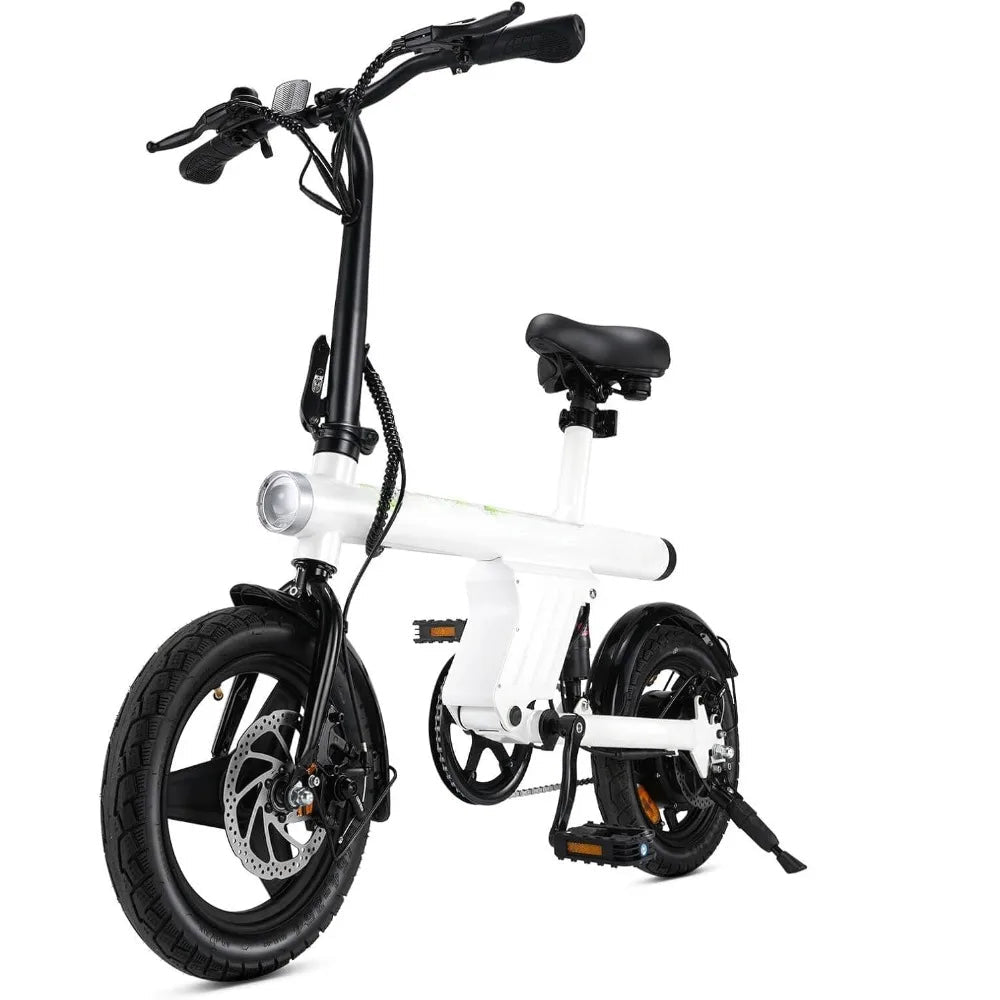 750W Peak Motor Electric Bike