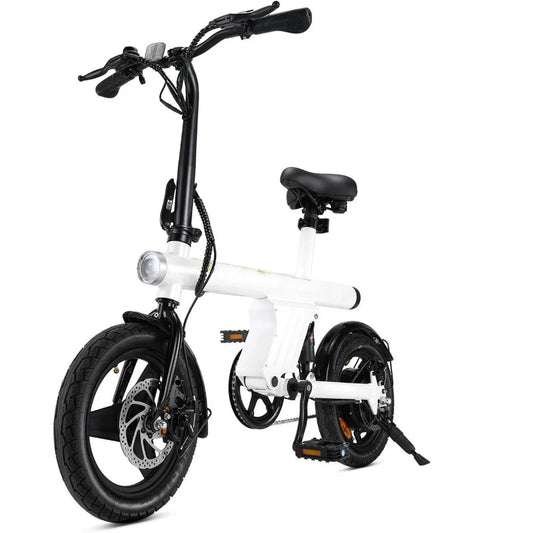 750W Peak Motor Electric Bike