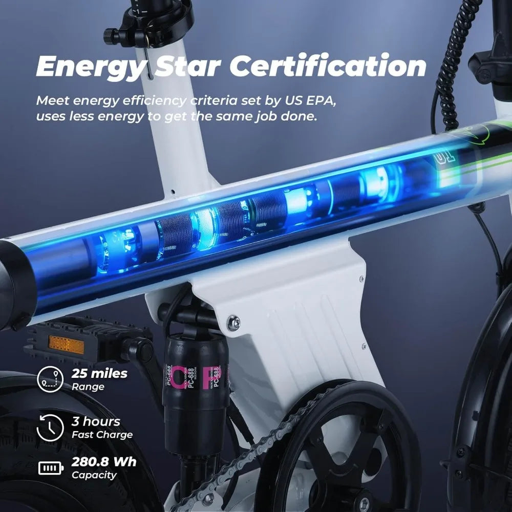 750W Peak Motor Electric Bike