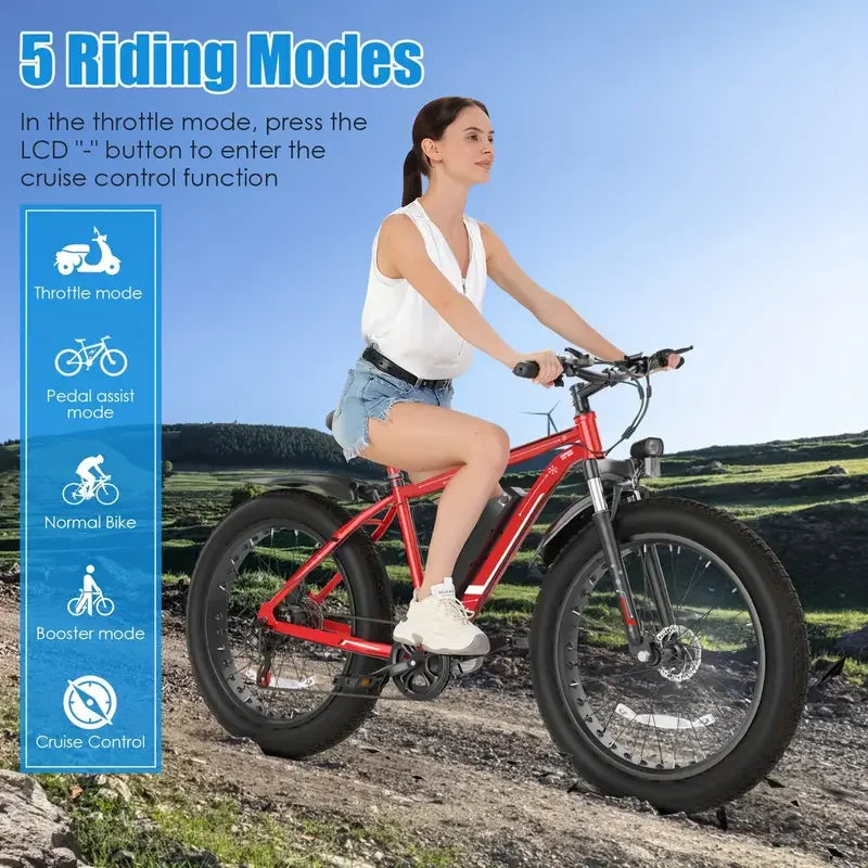 7-speed Electric Bike