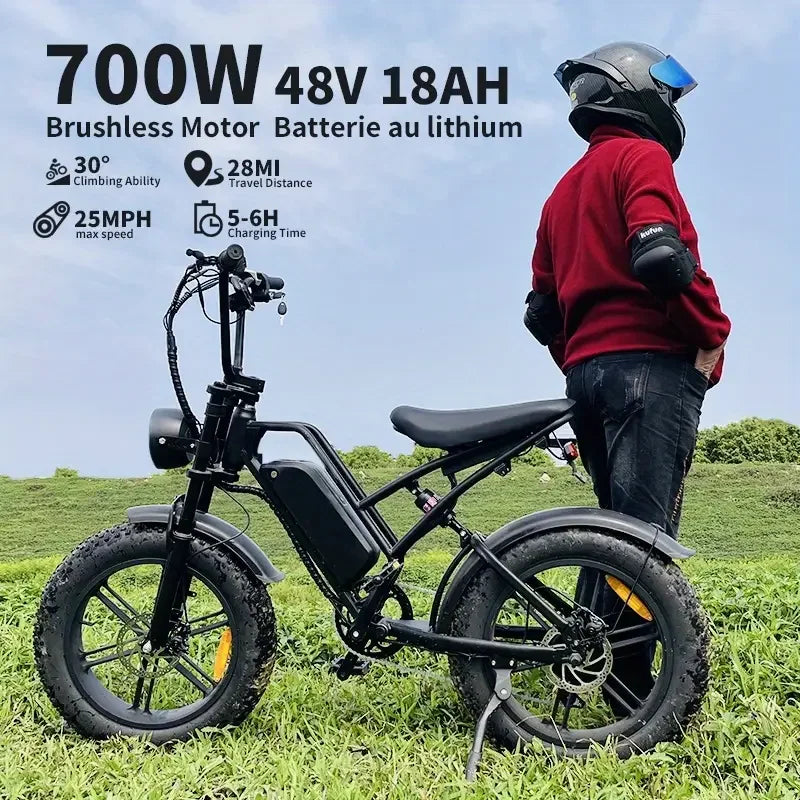 48V/18AH Battery 700W Electric Bike