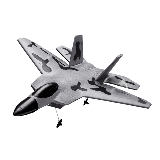 Vevor F-22 RC Plane